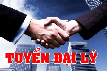 Đại lý - Giải Pháp Doanh Nghiệp Viettel